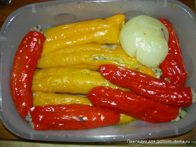 DSCN0985.JPG