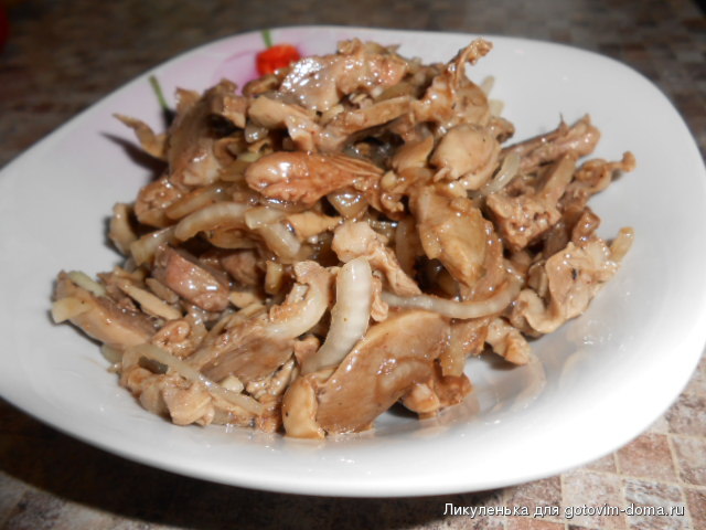 DSCN7237.JPG