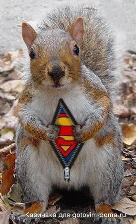 humor_rodents_38.jpg