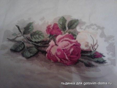 P141110_18.56.jpg