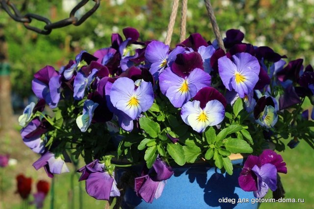 2013_05_15_1274.jpg