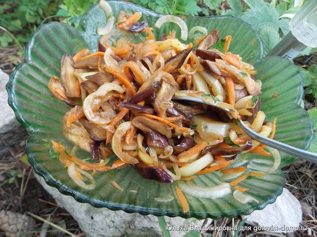 DSCN9485.jpg