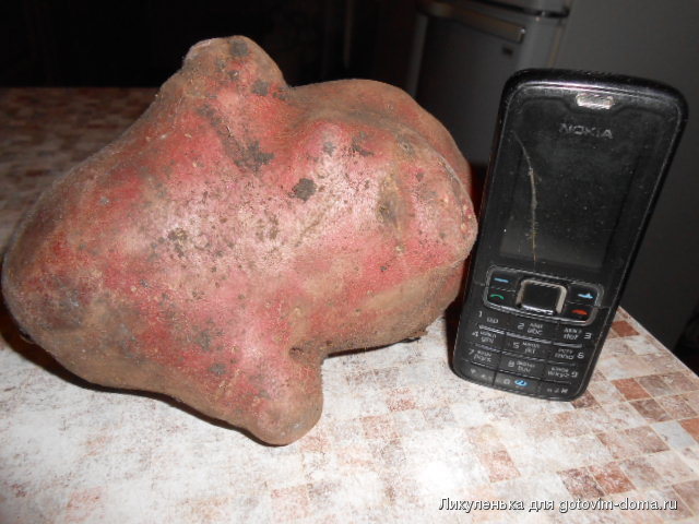DSCN8210.JPG