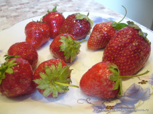 P1070510.JPG