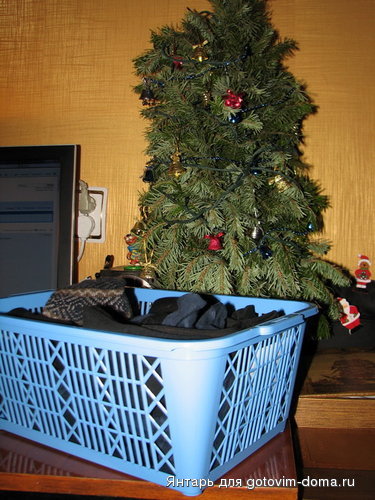 IMG_6530.jpg