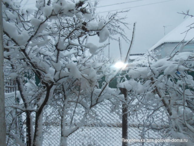 DSCN7444.JPG