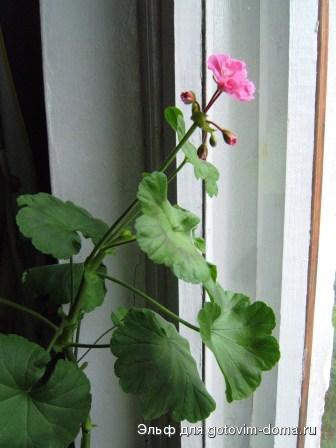 DSCF9104.JPG
