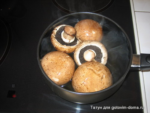 IMG_4022_resize.JPG