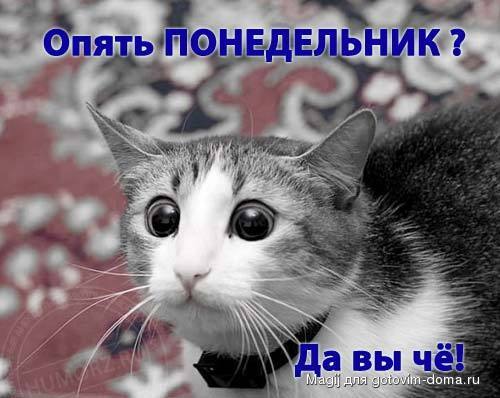 понедеьник.jpg