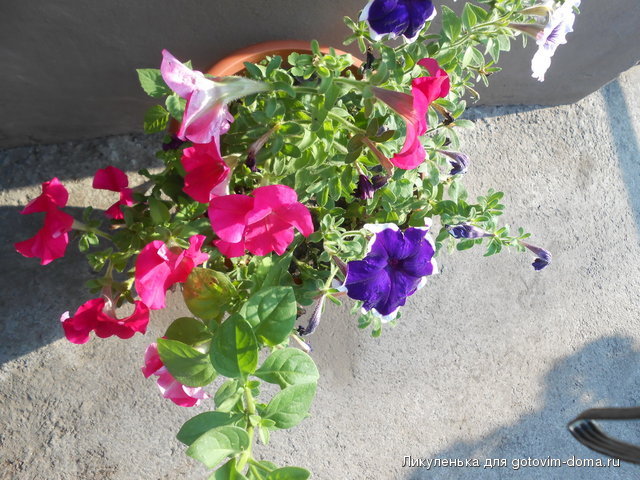 DSCN1601.JPG