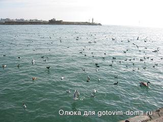 126-2660_IMG птицы в море 1.JPG