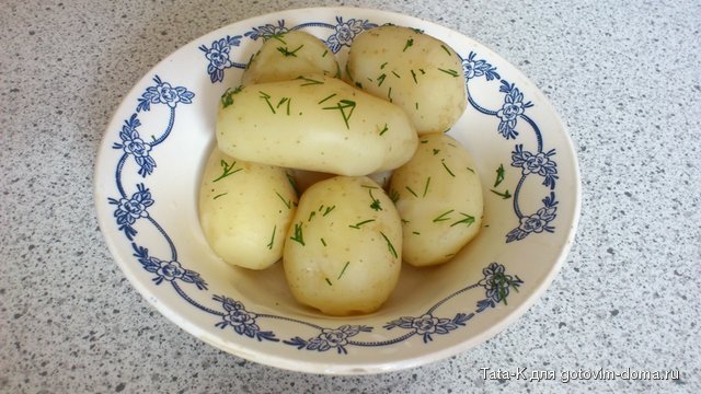 Молодая картошка с укропом.jpg