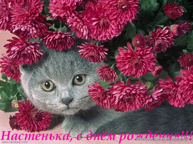 2ead94c50f8d7b6869977813cba3.jpeg
