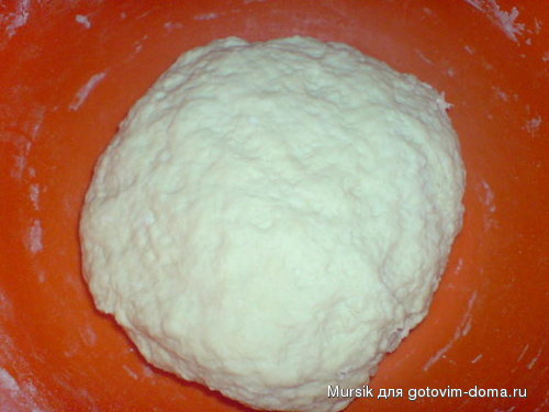 Bild 1075.jpg