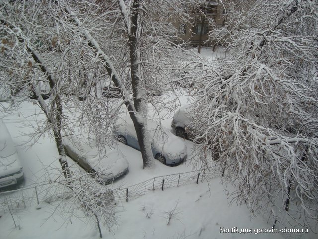 DSC00238.JPG