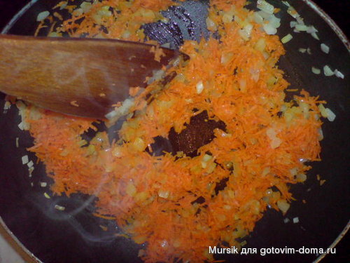 Bild 1081.jpg
