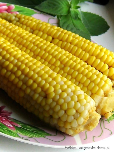 кукуруза.jpg