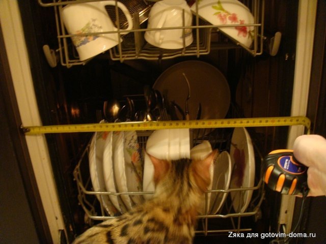 DSC06502.JPG