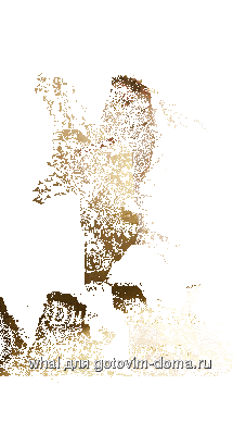 08.gif
