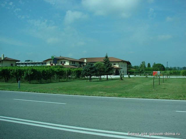 DSC00514.JPG