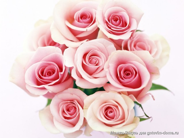 beauty-flower.jpg