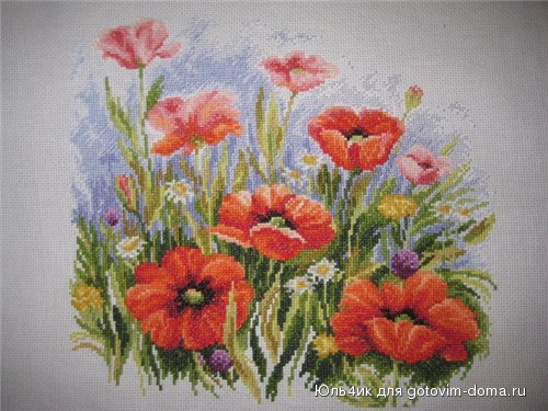 24082009меньше.jpg