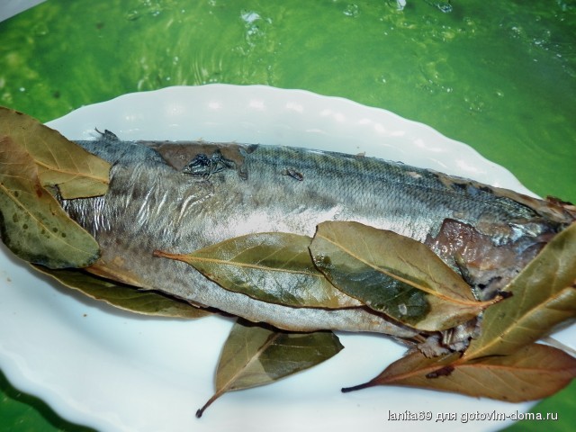 P1040662 (2).jpg