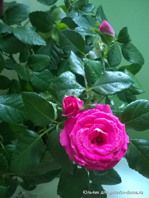 WP_20160906_008.jpg