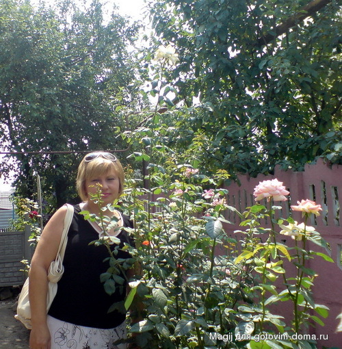 DSC00711.jpg