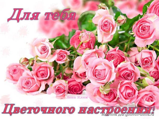 др1.jpg