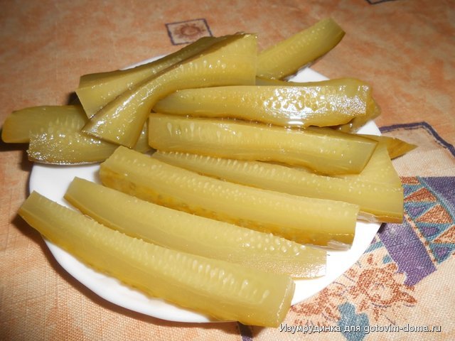 DSCN1038.JPG