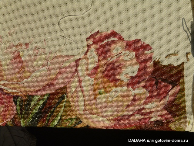 P1050419-1.jpg