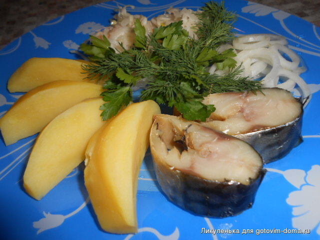 DSCN1125.JPG