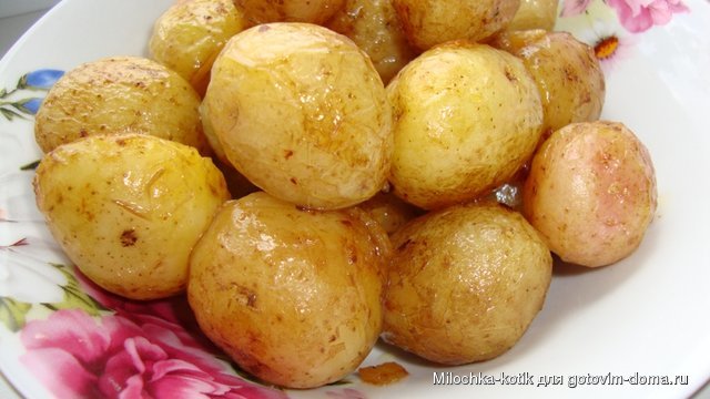 Картошка.JPG