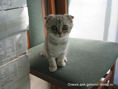 IMG_5032 лапушок 2.JPG