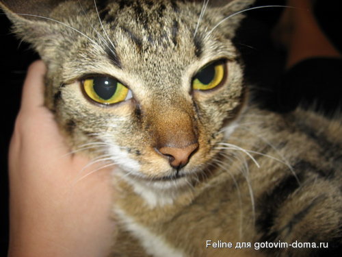 222 008_resize.jpg