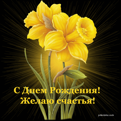 1.gif