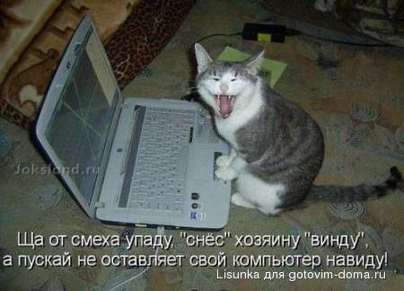 winda.jpg