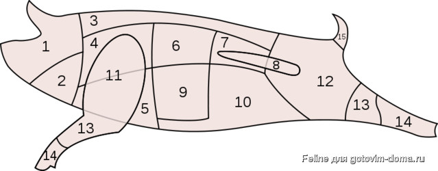 800px-Schwein-Ganz.svg.png