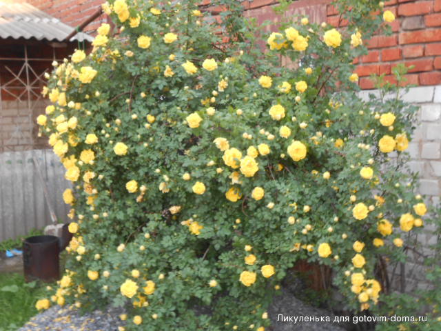 DSCN9736.JPG