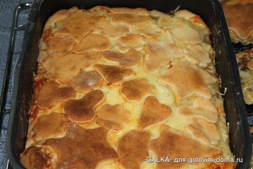 pirog_s_gribami (4).JPG