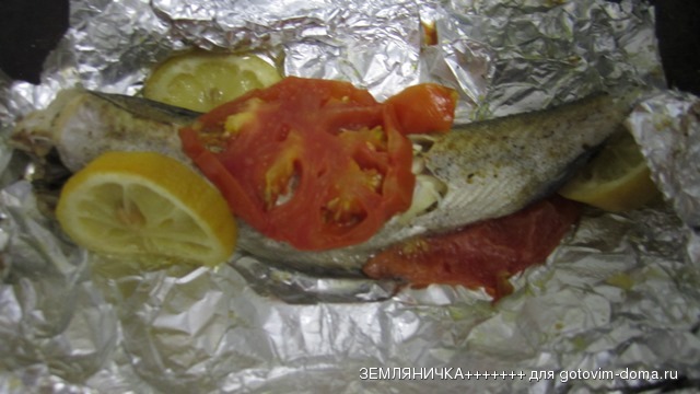 IMG_3894.JPG