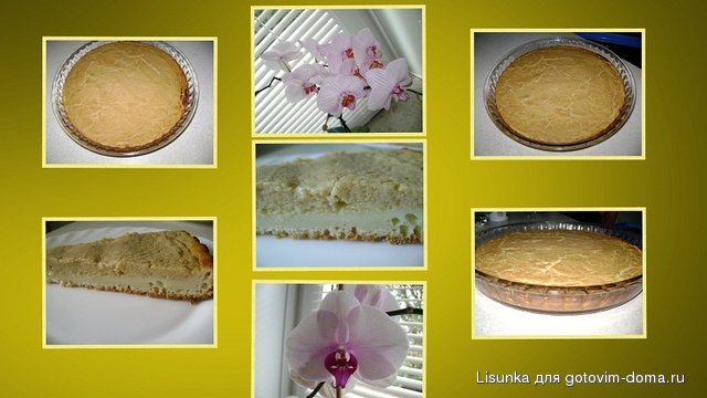 Collage20.jpg