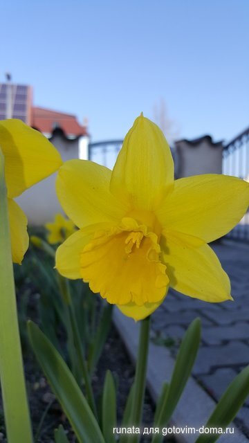 20200319_092237.jpg