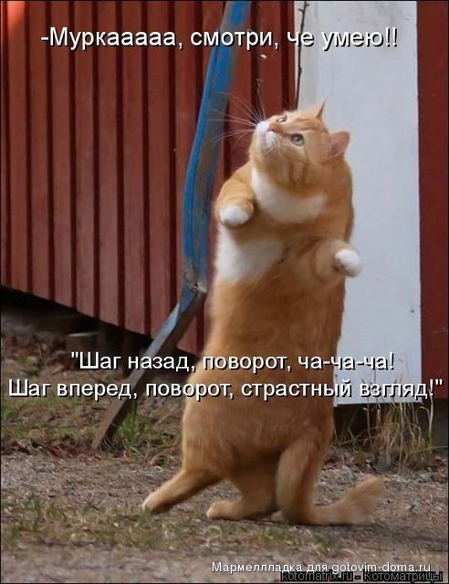 752659.jpg