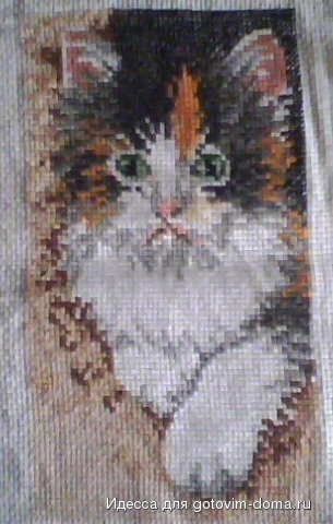 IMG0060A.jpg