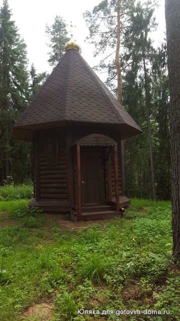 20160801_140116.jpg