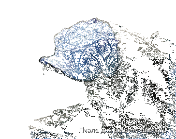af_013.gif