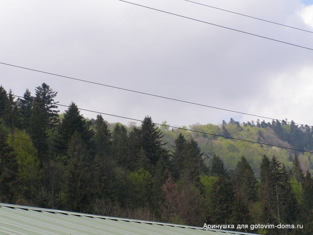 P5010077.jpg