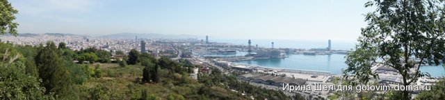 DSC01821.JPG